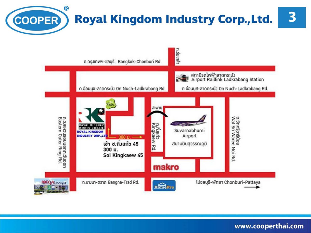 Power Point -RKI Company Profile