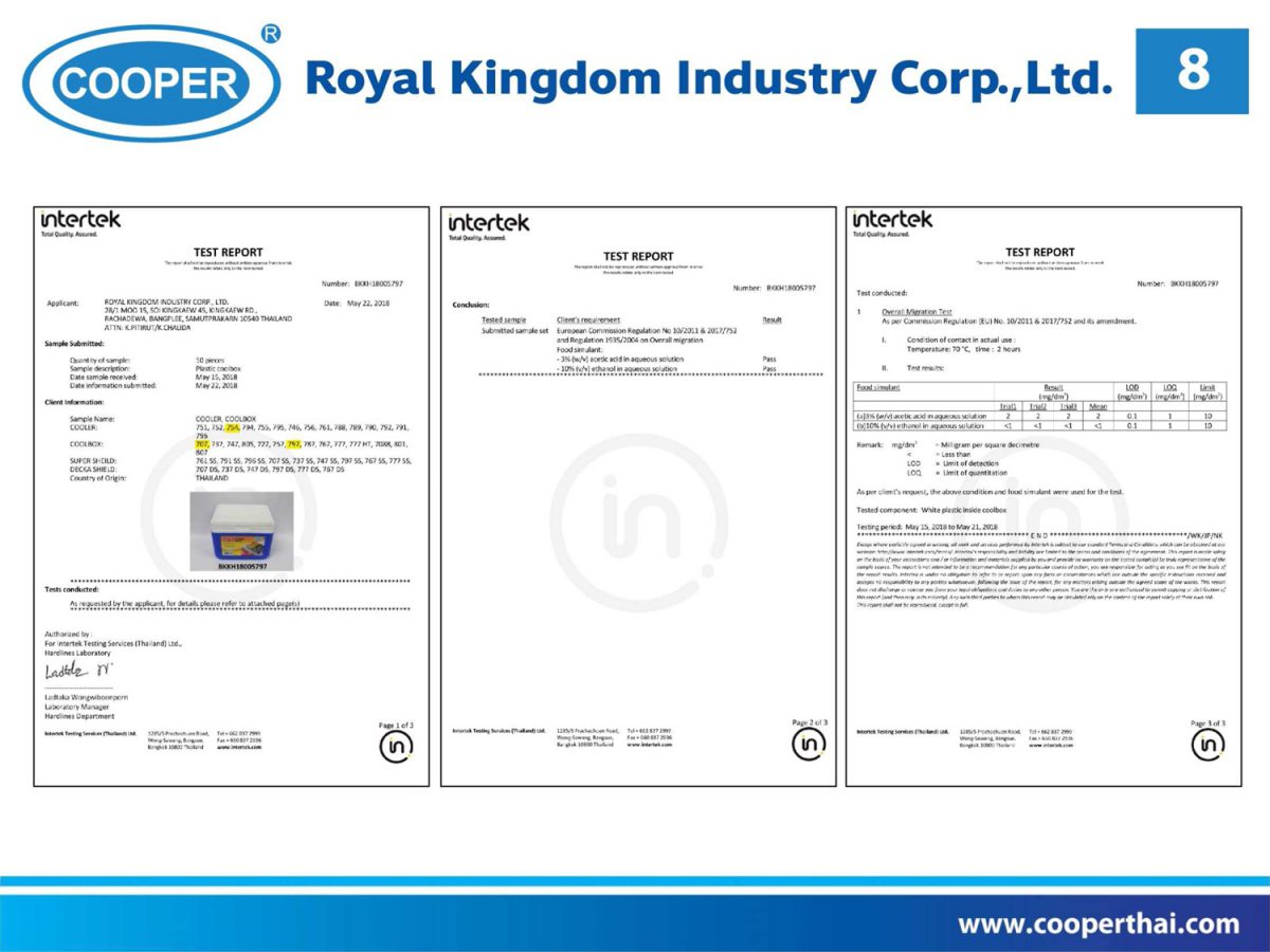 Power Point -RKI Company Profile